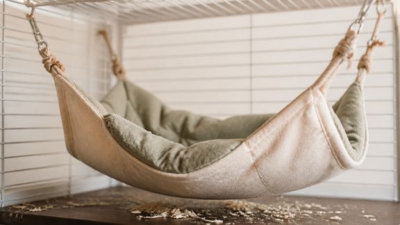 Meilleurs hamacs et couchages suspendus pour NAC : stabilité, confort et entretien