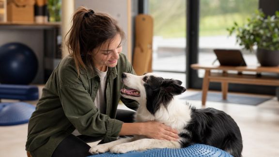Nouveaux métiers animaliers : panorama des professions émergentes en France
