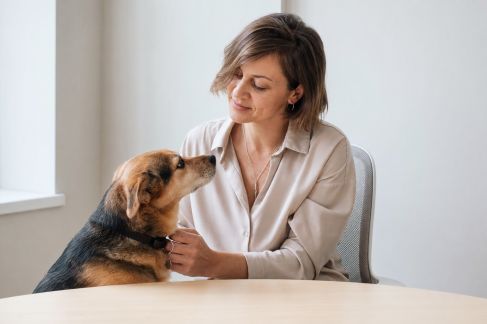 Focus sur une responsable de service adoption en SPA : critères et accompagnement des adoptants