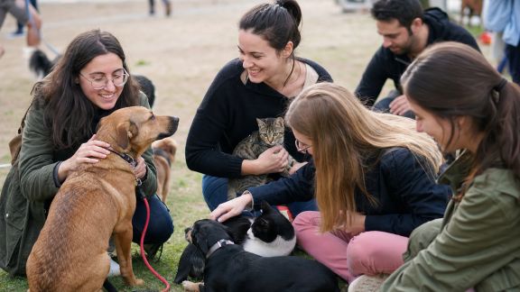 Développer un calendrier d’événements communautaires dédiés aux animaux tout au long de l’année