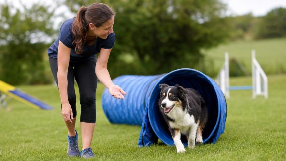 Portrait d'une éducatrice utilisant l'agility comme outil de socialisation canine