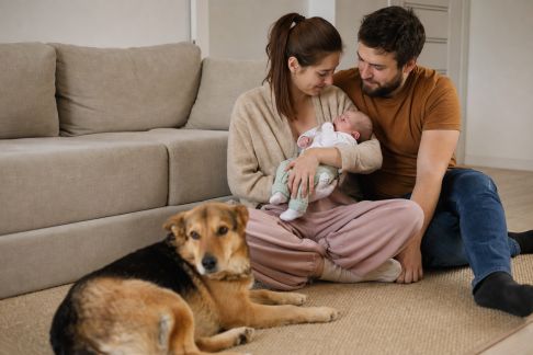 Gérer l’arrivée d’un bébé dans un foyer avec animaux : précautions et organisation familiale