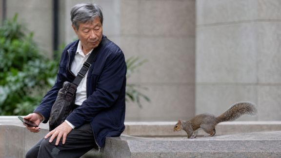Biodiversité urbaine : initiatives pour favoriser la cohabitation entre animaux et citadins