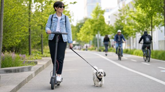 Animaux de compagnie et mobilité verte : impacts des nouveaux modes de transport