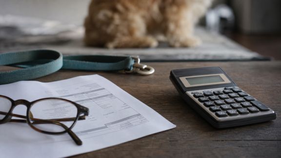 Comparatif des assureurs animaux : garanties, tarifs et rapidité de remboursement
