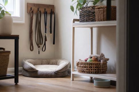 Optimiser le rangement des accessoires pour animaux en petit espace