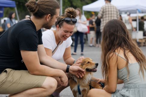Comment intégrer la dimension animale lors des événements festifs du quartier