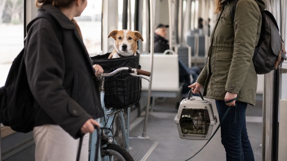 Mobilité douce : transports alternatifs adaptés aux animaux de compagnie