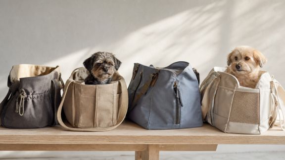 Comparatif des sacs de transport ergonomiques pour chiens de moins de 10 kg