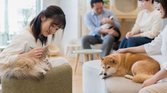 Le boom des cafés pour animaux : lieux de rencontre et sociabilisation innovants