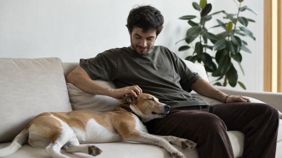 Les tendances du slow living appliquées à la vie avec son animal de compagnie