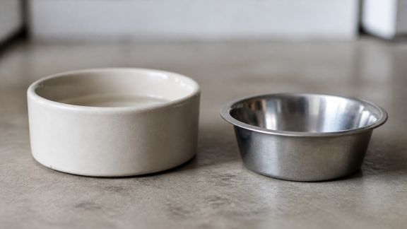 Astuces pour éviter la casse des bols et gamelles d’animaux